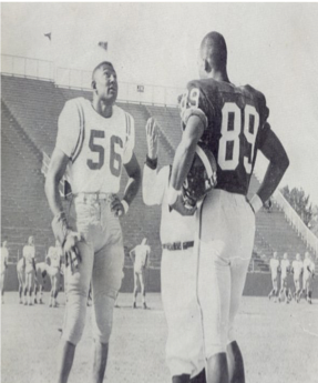 Football players and referee during coin toss.